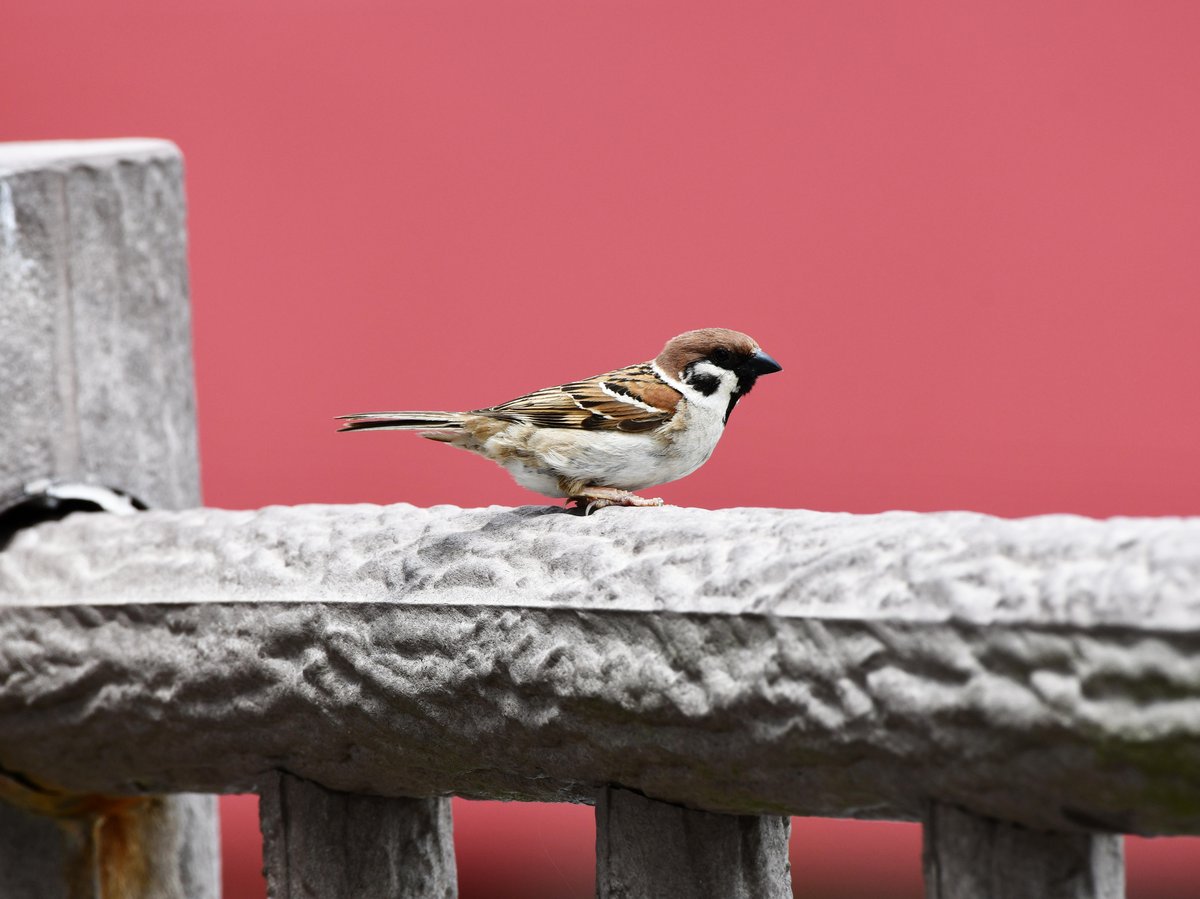 #:
         
          f/ at mm - Shutter Speed: - ISO: